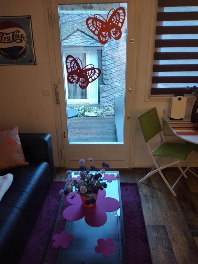 Ferienwohnung "Kunterbunt" Mit Burgblick Und Dachterrasse Моншау Екстер'єр фото